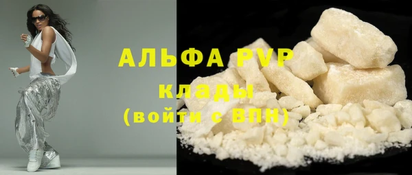 бошки Ладушкин