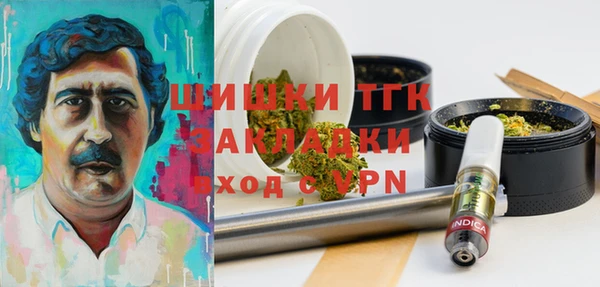 бошки Ладушкин