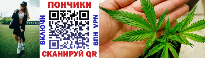 Купить где Пудож Шишки марихуана тримм